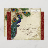 Peacock & Feather Formeel Dank u voor uw opmerking Briefkaart (Voorkant / Achterkant)