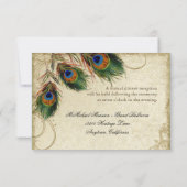 Peacock & Feather Formele Receptie Uitnodigen Zilv Kaart (Achterkant)