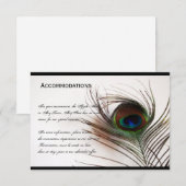 Peacock Feather Glamor-combinatiekaart Informatiekaartje (Voorkant / Achterkant)