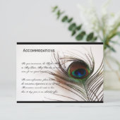 Peacock Feather Glamor-combinatiekaart Informatiekaartje (Staand voorkant)