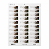 Peacock Feather Glamour Retouradres Etiket (Full Sheet)