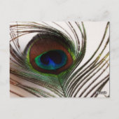 Peacock Feather Glamour Tafelnummer (Achterkant)