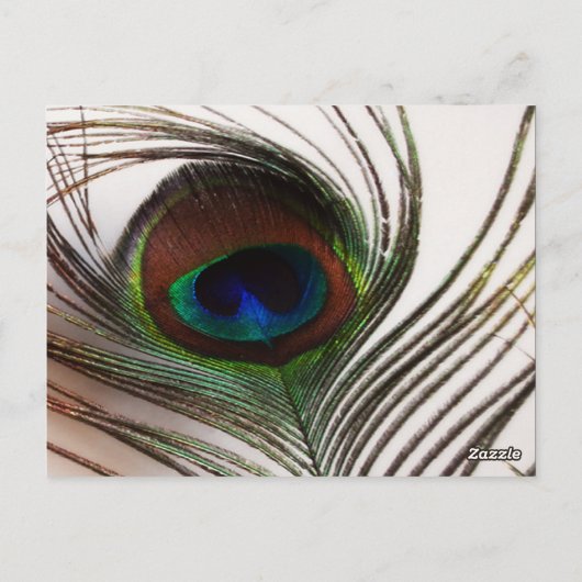 Peacock Feather Glamour Tafelnummer (Achterkant)