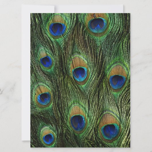 Peacock Feather Green 6,5" x 8 bruiloft uitnodigin Kaart (Achterkant)