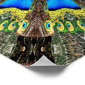 Peacock Feather Kaleidoscoop 3 Poster (Hoek)