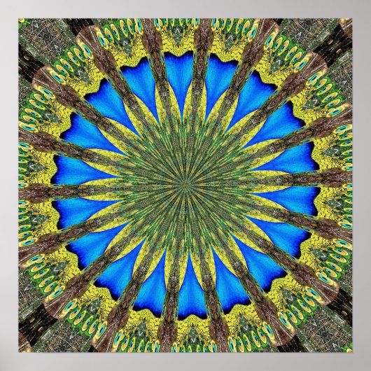 Peacock Feather Kaleidoscoop 3 Poster (Voorkant)