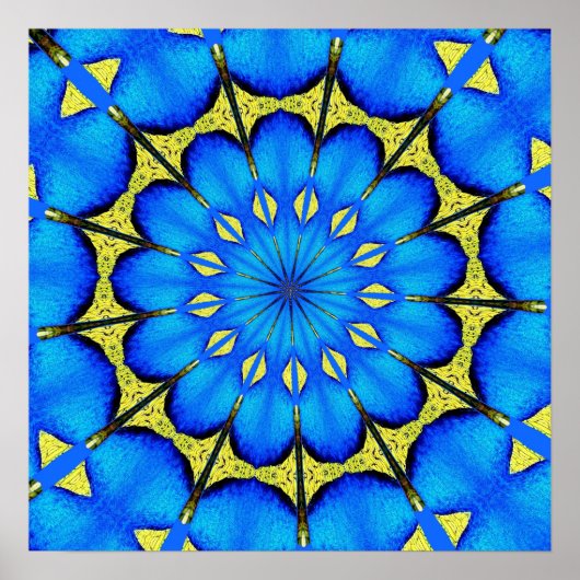 Peacock Feather Kaleidoscoop 4 Poster (Voorkant)