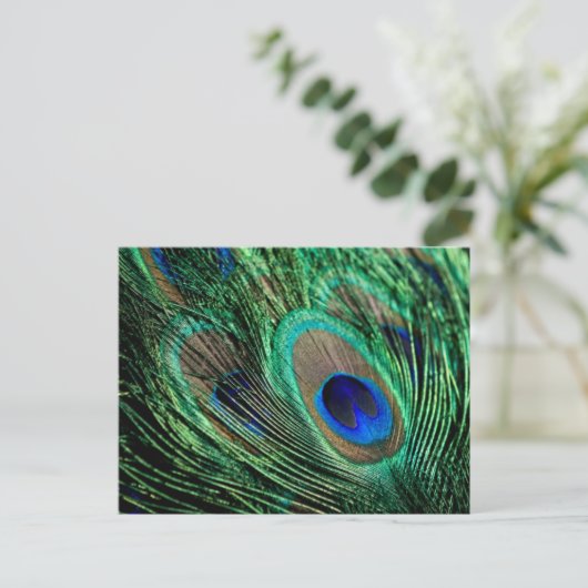 Peacock Feather Lucky Briefkaart (Staand voorkant)