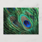 Peacock Feather Lucky Briefkaart (Voorkant)