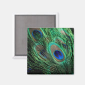 Peacock Feather Lucky Magneet (Voorkant / Achterkant)