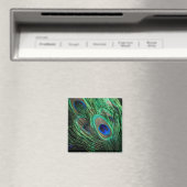 Peacock Feather Lucky Magneet (Insitu (Vaatwasser))