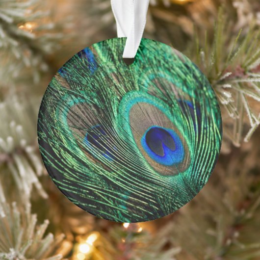 Peacock Feather Lucky Ornament (Boom)