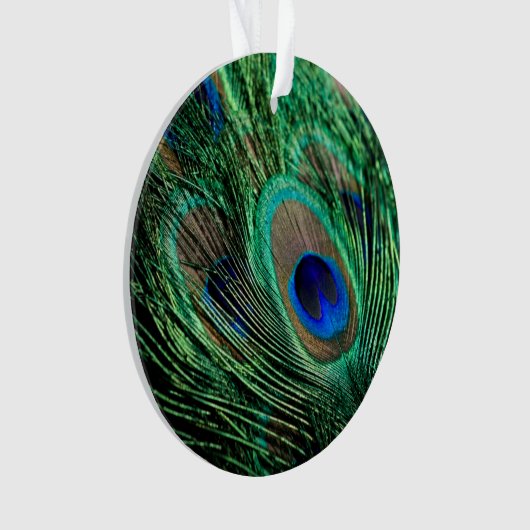 Peacock Feather Lucky Ornament (voorkant)