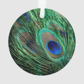 Peacock Feather Lucky Ornament (achterkant)