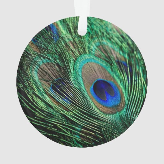 Peacock Feather Lucky Ornament (achterkant)