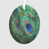 Peacock Feather Lucky Ornament (voorkant)