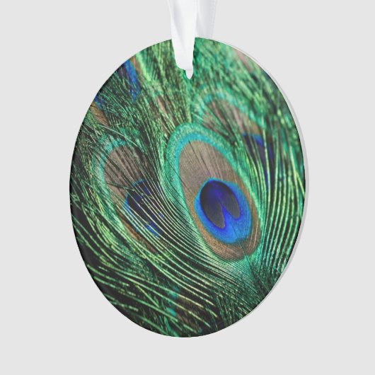Peacock Feather Lucky Ornament (voorkant)