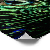 Peacock Feather Lucky Poster (Hoek)