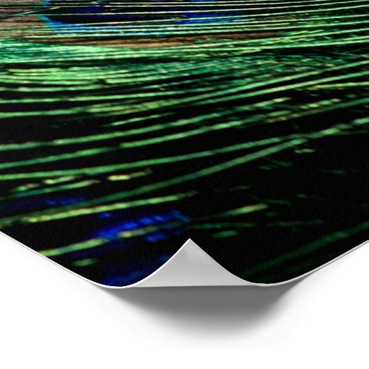 Peacock Feather Lucky Poster (Hoek)