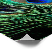Peacock Feather Lucky Poster (Hoek)