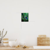 Peacock Feather Lucky Poster (Keuken)