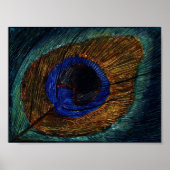Peacock Feather Macro Poster (Voorkant)