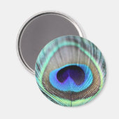 Peacock Feather Magneet (Voorkant / Achterkant)