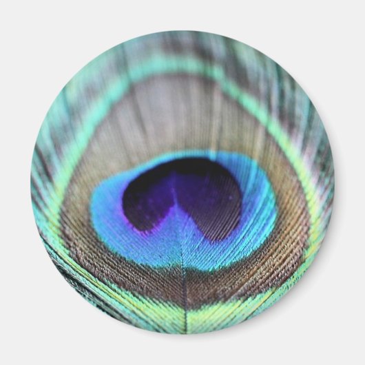 Peacock Feather Magneet (Voorkant)