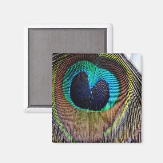 Peacock Feather Magnet (Voorkant / Achterkant)