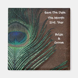 Peacock Feather met bruin en goud Magneet