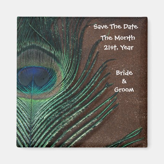 Peacock Feather met bruin en goud Magneet (Voorkant)