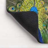 Peacock Feather Muismat (Hoek)