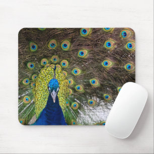 Peacock Feather Muismat