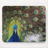 Peacock Feather Muismat (Voorkant)