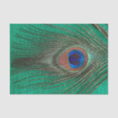 Peacock Feather on Green Tissuepapier (Voorkant)