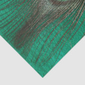 Peacock Feather on Green Tissuepapier (Detail)