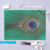 Peacock Feather on Green Tissuepapier (Craft)