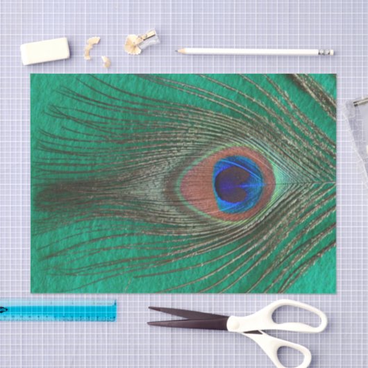 Peacock Feather on Green Tissuepapier (Craft)