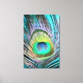 Peacock Feather op Turquoise Canvas Afdruk (Voorkant)