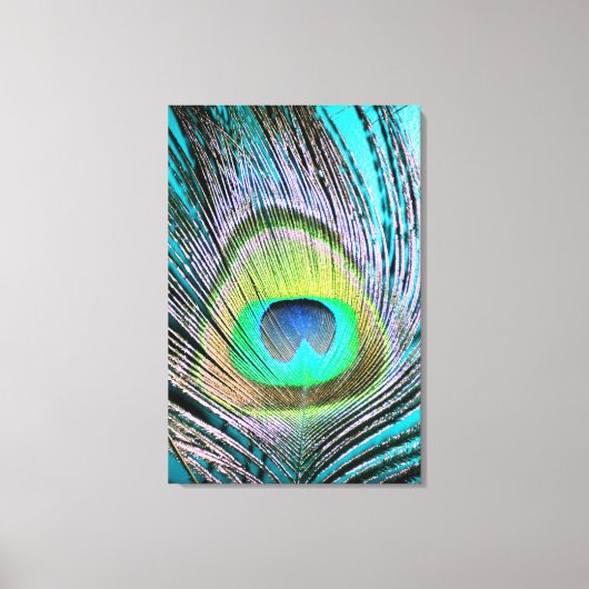 Peacock Feather op Turquoise Canvas Afdruk (Voorkant)