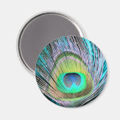 Peacock Feather op Turquoise Magneet (Voorkant / Achterkant)