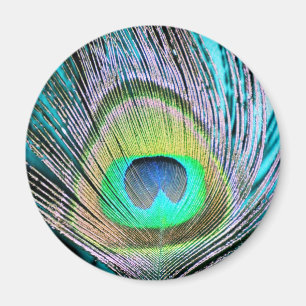 Peacock Feather op Turquoise Magneet