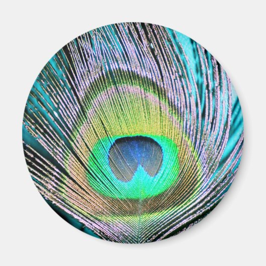 Peacock Feather op Turquoise Magneet (Voorkant)