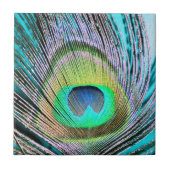 Peacock Feather op Turquoise Tegeltje (Voorkant)