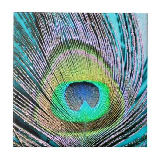 Peacock Feather op Turquoise Tegeltje (Voorkant)