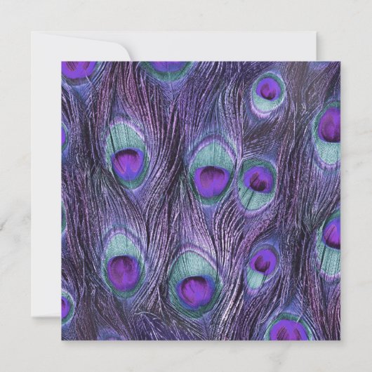 Peacock Feather Paarse Drama Huwelijksuitnodiging Kaart (Achterkant)