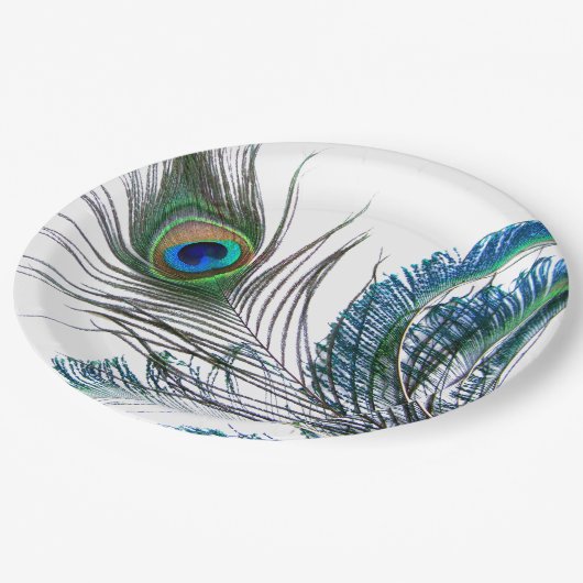 Peacock Feather Paper Bord (Gekanteld)