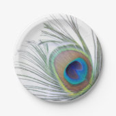 Peacock Feather Papieren Bordje (Voorkant)
