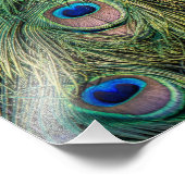 Peacock Feather Pattern Foto Afdruk (Hoek)