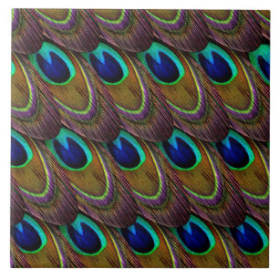 Peacock Feather Pattern Tegeltje